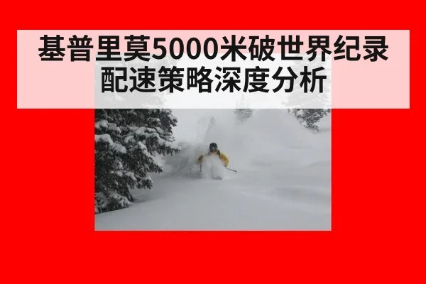 基普里莫5000米破世界纪录配速策略深度分析